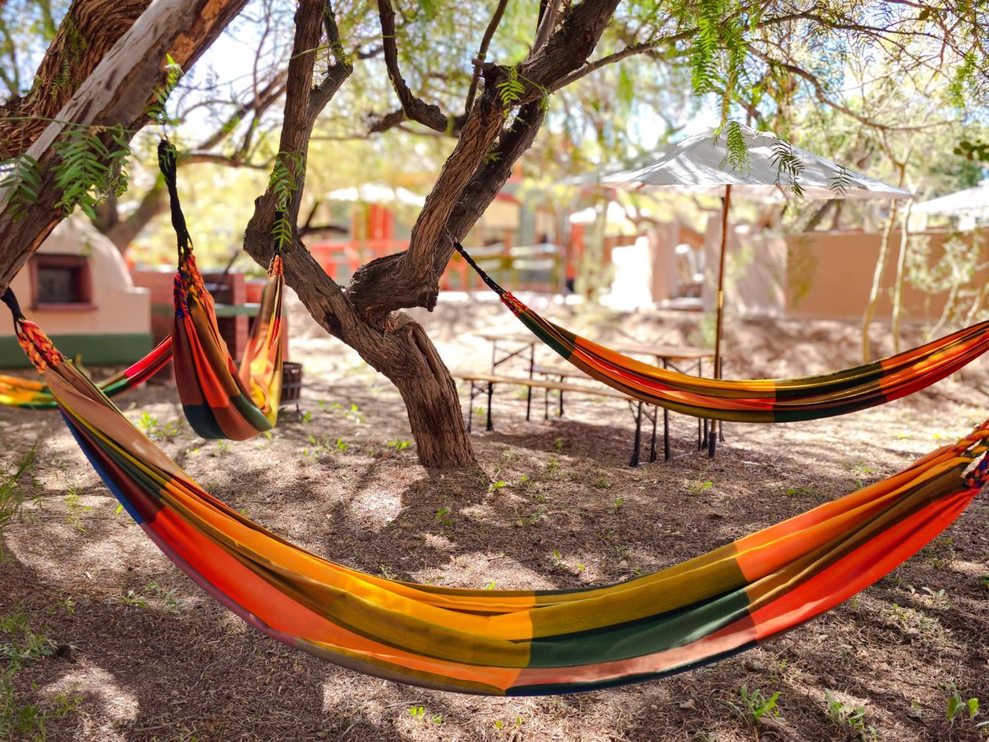 Lodge Ancar Atacama Сан Педро де Атакама Екстериор снимка