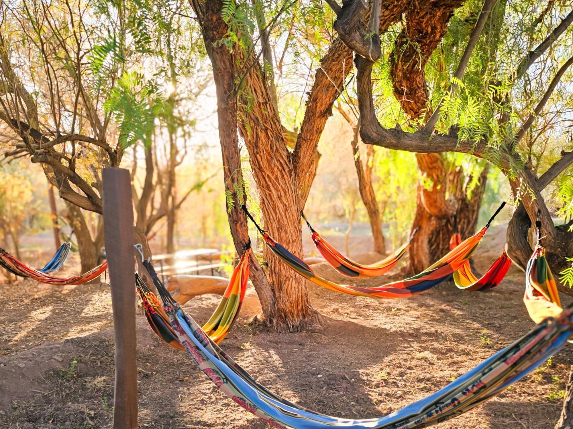 Lodge Ancar Atacama Сан Педро де Атакама Екстериор снимка
