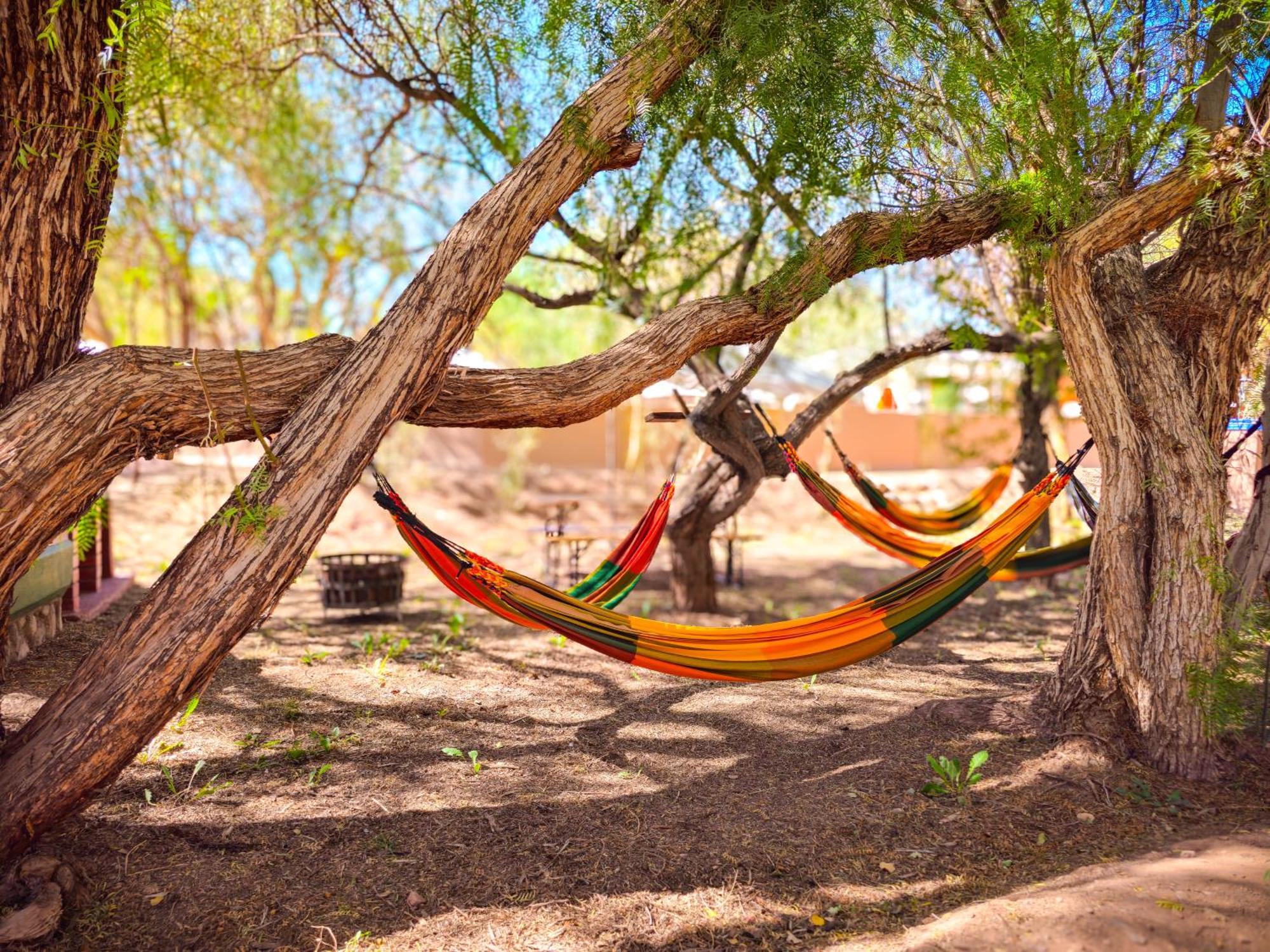 Lodge Ancar Atacama Сан Педро де Атакама Екстериор снимка